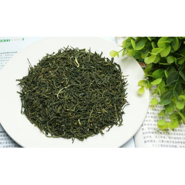 First class maojian baekhao yunnan green tea flavor strong brewing manufacturers