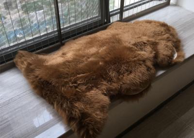 A pele de carneiro real Brown escuro de Austrália tingiu o tapete longo grosso do tapete de lãs de Austrália