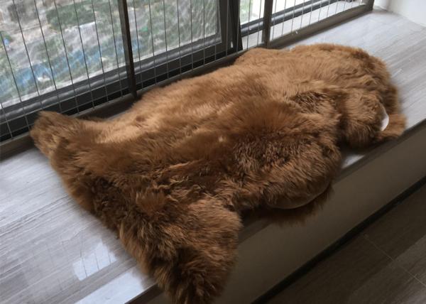 A pele de carneiro real Brown escuro de Austrália tingiu o tapete longo grosso do tapete de lãs de Austrália