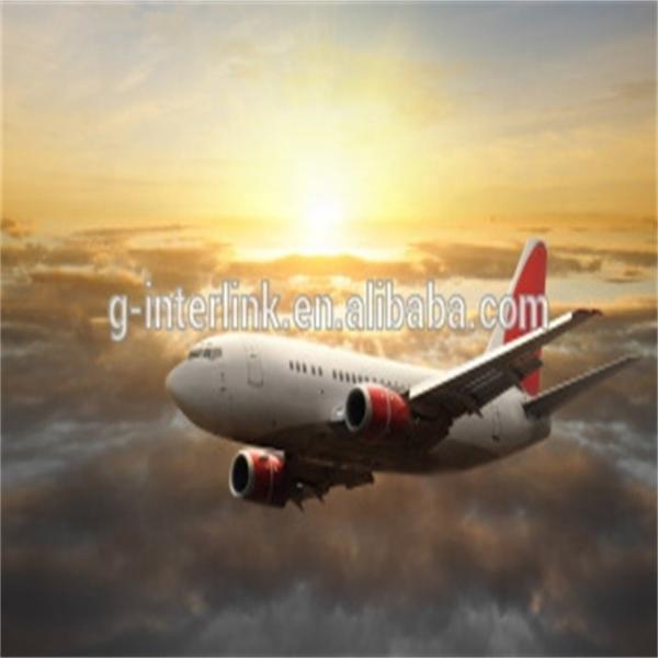 Door To Door Special Goods International Cargo Shipping Economy Freight Shipping