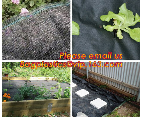 Agricultural Mulching Film Used for Fruit, Flower and Vegetable