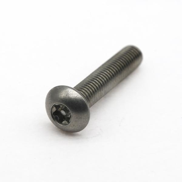 Industrial Custom Anti Theft Screw Stainless Steel Safety Fasteners