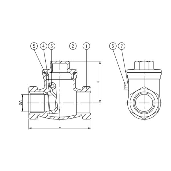 Концы NPT задерживающего клапана фланца 316SS 3/8