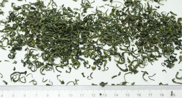 Fragrant green tea material benefit fragrant tea cloud mist high mountain tea songyang rizhao green tea
