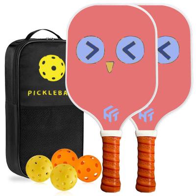 Graphite Fiberglass Pickleball Paddle Set For Novice Practice 40*20*1.4 USAPA Certified