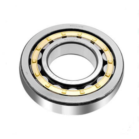 Radial Cylindrical Roller Bearings N216 N218 N220 N200 Series N205 N220