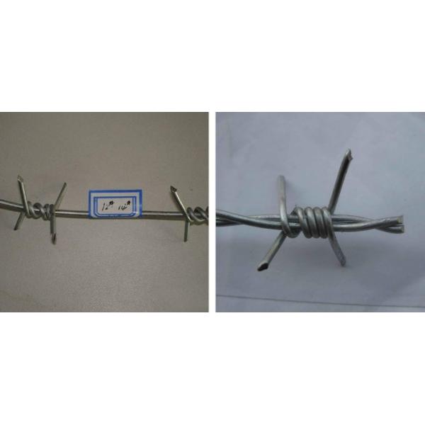 Поле датчика 12*14 ограждая гальванизированную стальную колючую проволоку 50kg/Roll Q235