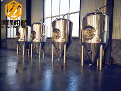 Pub Brewery Industrial Fermentation Equipment 1000L Raker And Agitator VFD