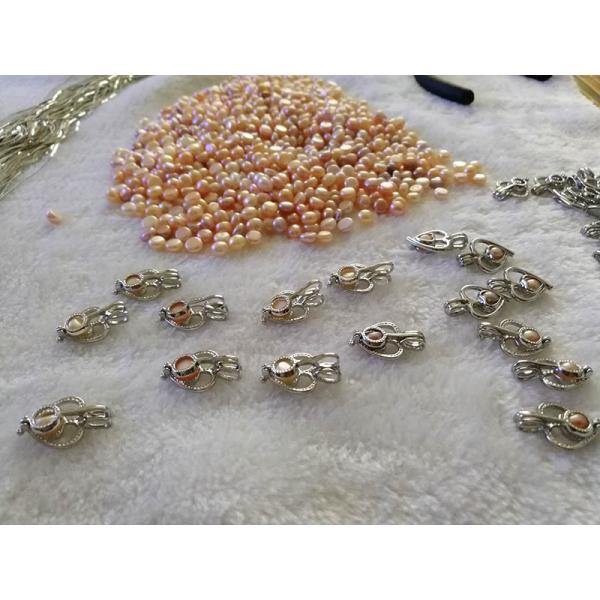 Oyster Pearl Cage Pendant Beads Hollow Essential Oil Diffuser Locket Pendant Jewelry