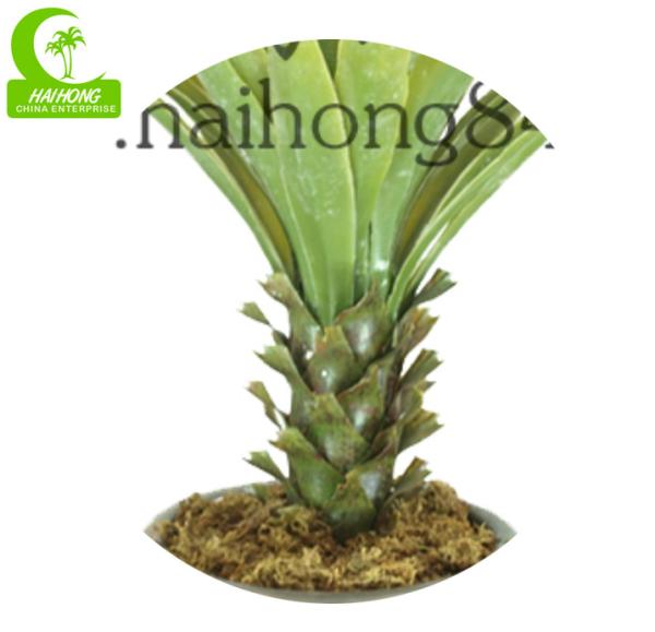 Planta suculento artificial da altura 90cm