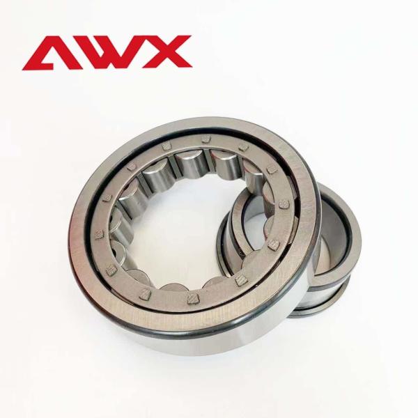 Single Row Double Row Cylindrical Roller Bearing NJ2217E NJ2218E NJ2219E NJ2220E NJ2221E