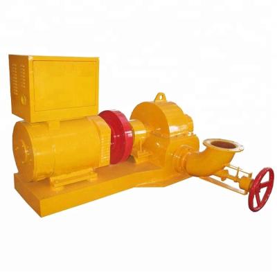 Vertical / Horizontal Micro Water Turbine Generator Used In Hydroelectric Power Plant