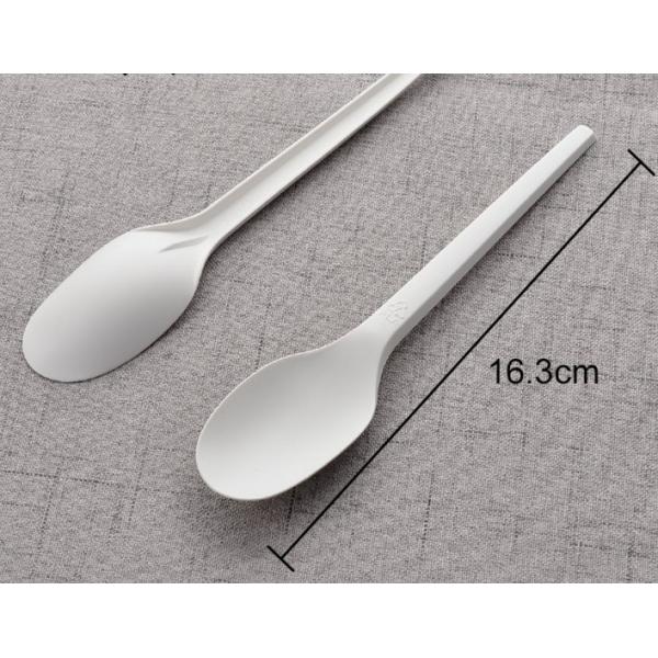 Disposable Spoon Fork Knife Set Biodegradable Option for Catering and Buffet Service