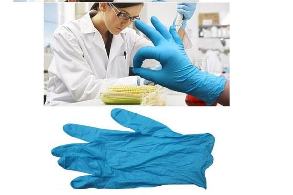 Universal Non Sterile Gloves , Anti Bacteria Disposable Blue Latex Gloves