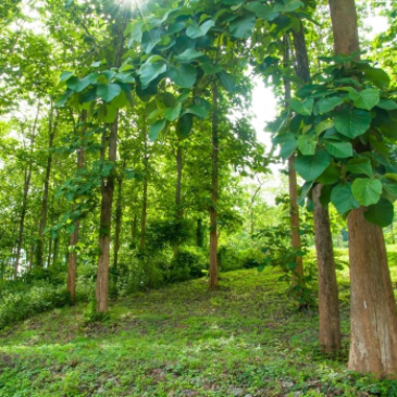 Artificial Leather Upholstery Hotel Restaurant Furniture Restaurant Sofa Booth With ISO18001