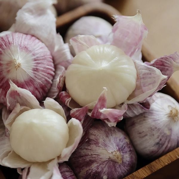 Best Price Organic Chinese White Garlic High-quality Light Spicy Packed in Fresh Net Bag Pure Newest Crop Direct From the Farm