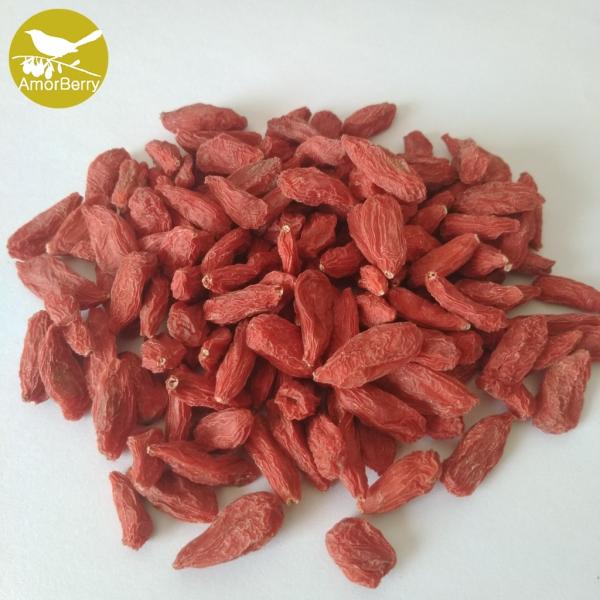 Himalayan fruit tea Relieve a cough Gouqizi Chinese sun dried Goji berry hot sale organic goji Ningxia wolfberry