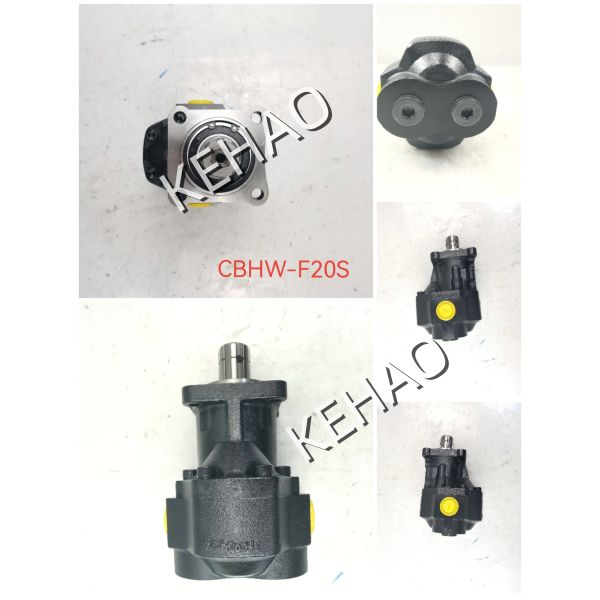 Hydraulic Gear Pump CBHW Series CBHW-F20S/CBHW-F30S/CBHW-F40S/CBHW-F63S Iron and Aluminum alloy materials Oil Transfer Pump OEM ODM