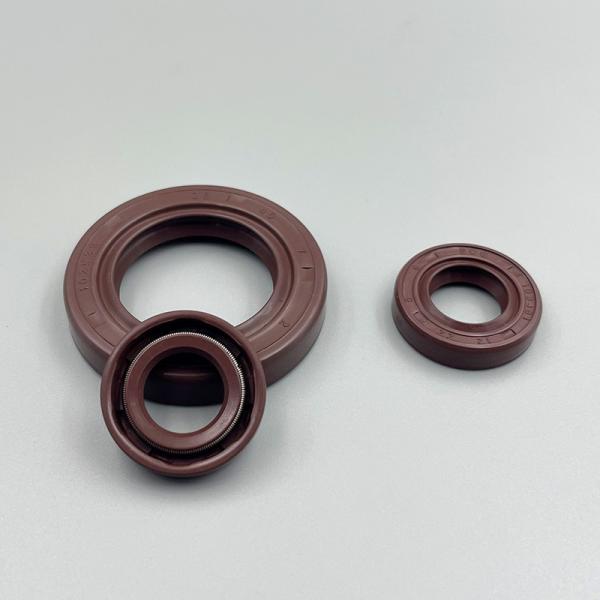 Tc Skeleton Oil Seals Fluororubber Material Water-resistant High-temperature Oil Seal Gasket
