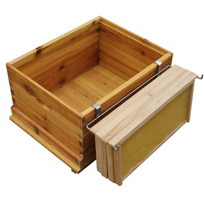 Stainless Steel Beekeeping Tools 46*6*2.6cm 38*6*2.6cm Bee Hive Frame holder