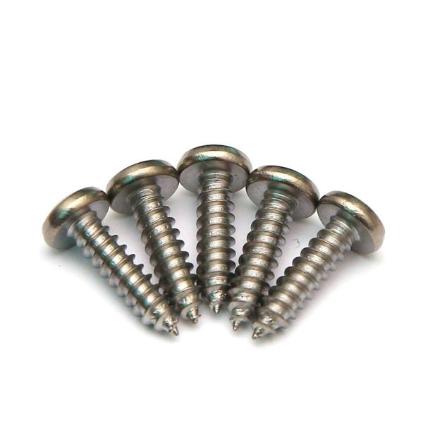 Torx Socket Recess Stainless Steel Pan Head Self Tapping Screws AISI 410 Inox AB Thread
