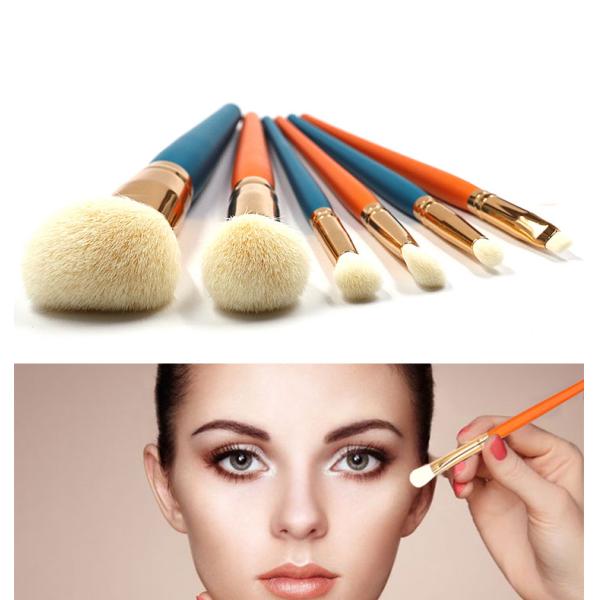 Skin Friendly 6pcs Facial Makeup Brushes Easy Powder Absorbtion