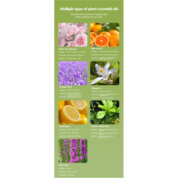 Wall Mounted Solid Fragrance Air Freshener 90*130*7mm Size for Commercial and Household Use
