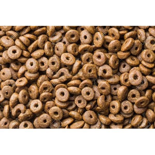 Chaîne de production automatique d'extrudeuse d'aliment pour animaux familiers moteur de Siemens de machine d'aliments pour chiens