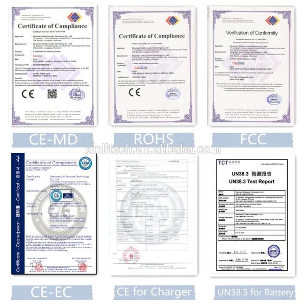 Portable Folding Motorized Scooter 350W 24V Lithium Folding Electric Skateboard