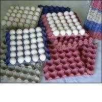 Máquina de molde da polpa do rolo de carvão, bandeja de papel do ovo que faz a máquina 2000pcs/h