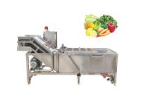 SUS 304 Air Bubble 500kg/h Ginger Washing Machine