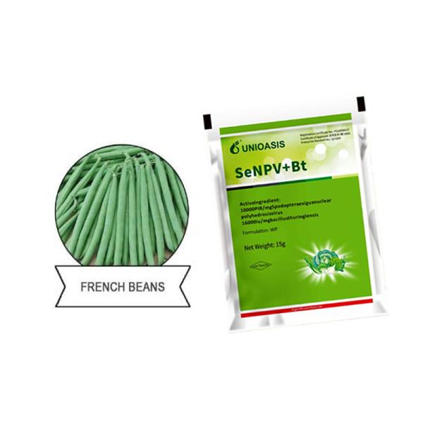 El uso de los productos químicos para la fabricación de productos químicos y de productos químicos para la producción de productos químicos