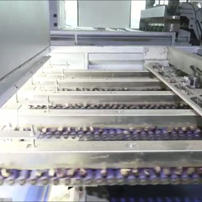 AI powered Durable 304 Stainless Steel Chestnut Sorting Solution with 8 lanes + 8 outlets: Delivering High Accuracy and Labor Savings for Consistent Production Outcomes