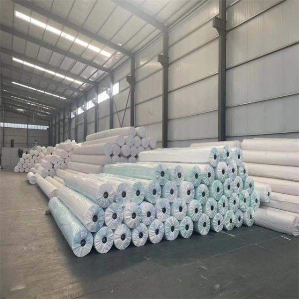 Road Repair 300g 400g 600g Polyester Long Fiber Needle Punched Non Woven Geotextile