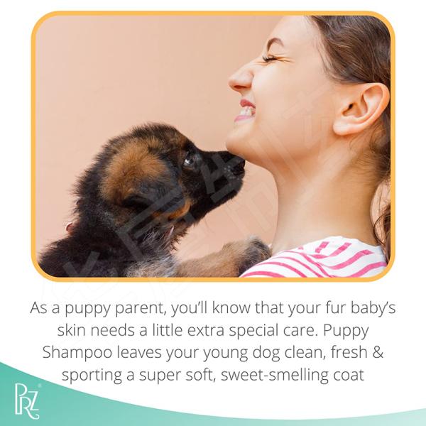 Coconut Oil Oatmeal Aloe Gentle Dog Shampoo And Conditioner 220ML