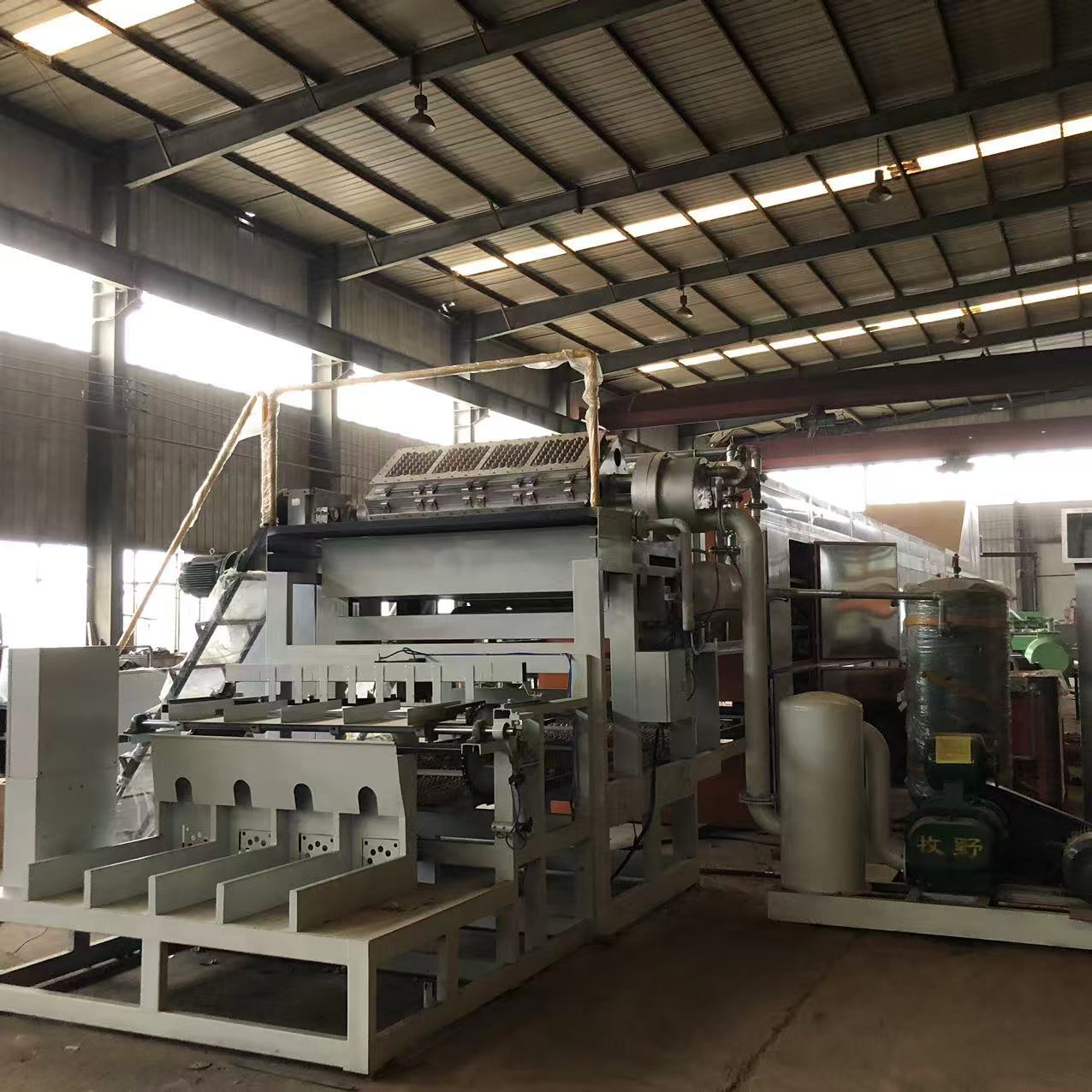 Fully Automatic Egg Tray Making Machine Supporting Custom Mold Sizes and Quick Changeover for Diverse Packaging Needs 2500-3000pcs/h PLC Control