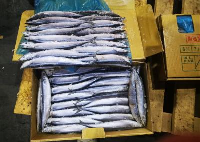 Sauro pacífico congelado saudável maioria fresco do marisco #1