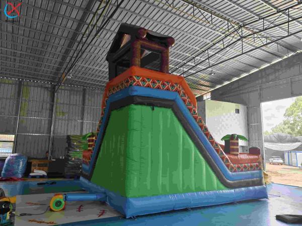 Inflatble Exotic Bouncy House With Internal Slide Combo Jumping Castle