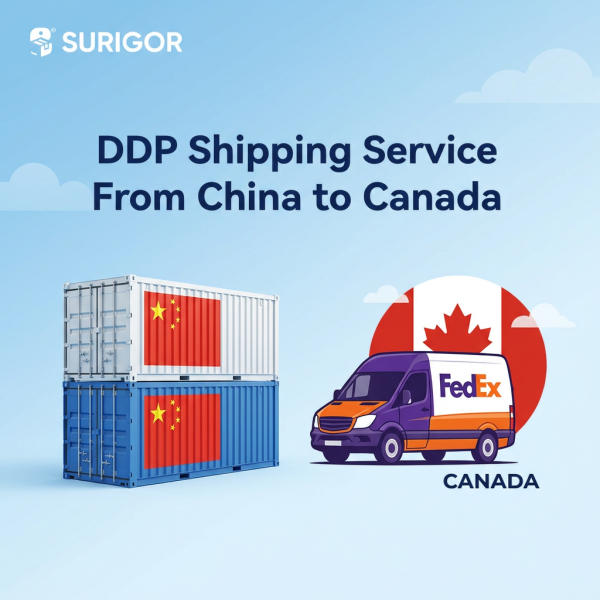 Shenzhen To Montreal LCL DDP Service CBSA Brokerage For Quebec - Based Importers.
