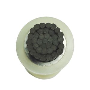 Lightweight High Strength Corrosion Resistant Carbon Fiber Core for ACMCC Conductors in Power Transmission
