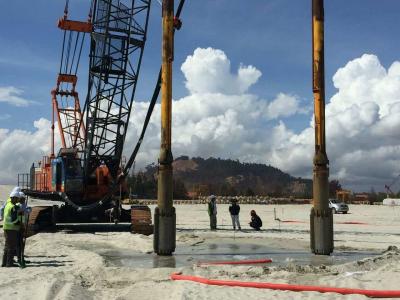 Highly Recommended Stone Column Equipment Steel Material Electric Vibroflot for construction