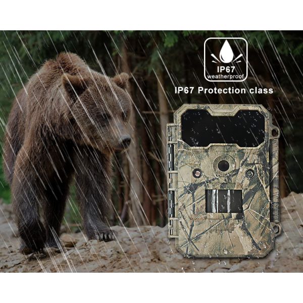 Motion Activated Wildlife Camera