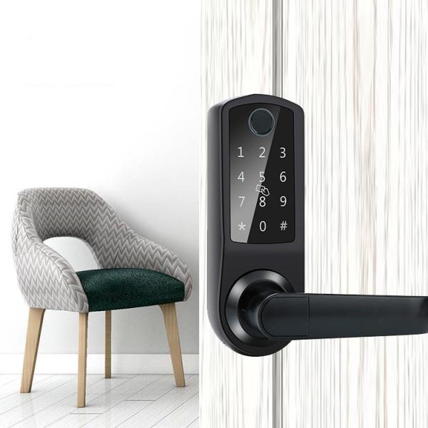 El App elegante biométrico inteligente de la cerradura de la huella dactilar controló DC6V