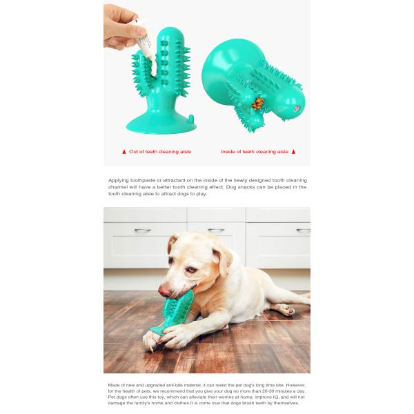 TPR Interactive Pet Toys Toothbrush Molar Puppy Teeth Cleaning Toy 125g ODM