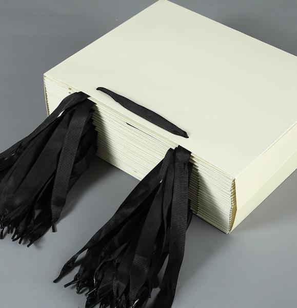 Custom Printed Paper Gift Bags For Apparel Beauty And Retail Packaging
