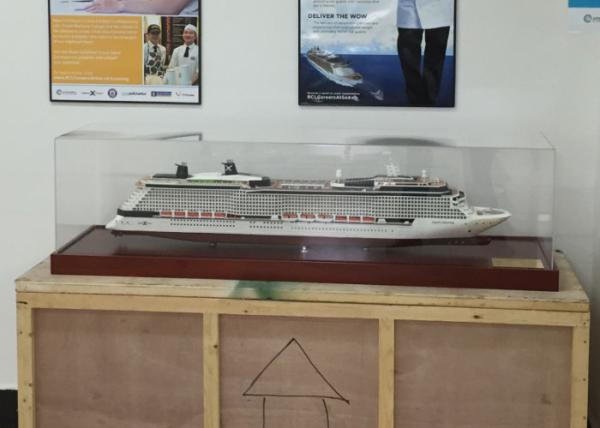 Scale 1:900 Pretty 3d Ships Models , Solstice Class Celebrity Silhouette Cruise Ship Model