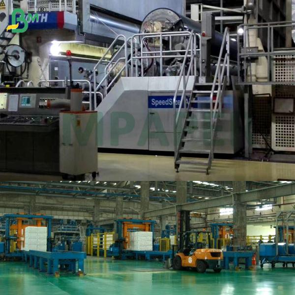 130gsm 150gsm Aqueous Plastic Free Paper Non - Stick & High Temperature Resistance For Food Packaging Cup Stock Paper Bag