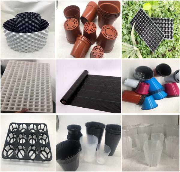 72 bandejas da plântula da morango da planta de Tray Plastic Seedling Tray Mango do berçário das pilhas