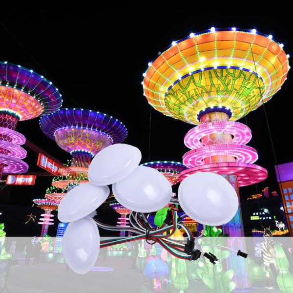Iluminação de parques de diversões LED Iluminação decorativa 60mm 5050RGB 2W DC12V Iluminação decorativa