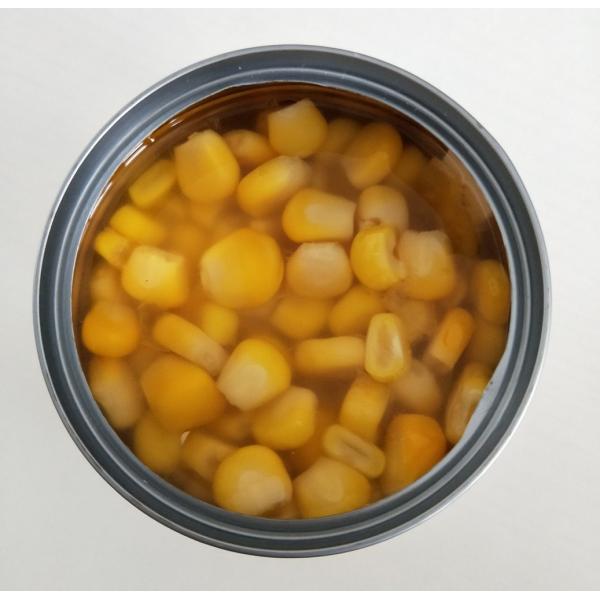 425г законсервировало сладкую мозоль стерженя, законсервированную желтую мозоль в стандарте воды ХАЛЯЛЬНОМ